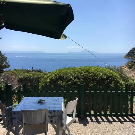 Mira Capri *