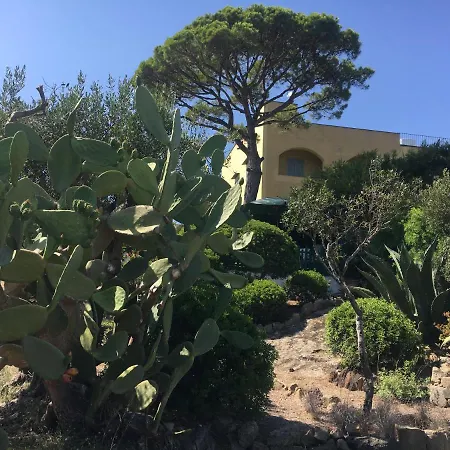 Apart-hotel Mira Capri Procida