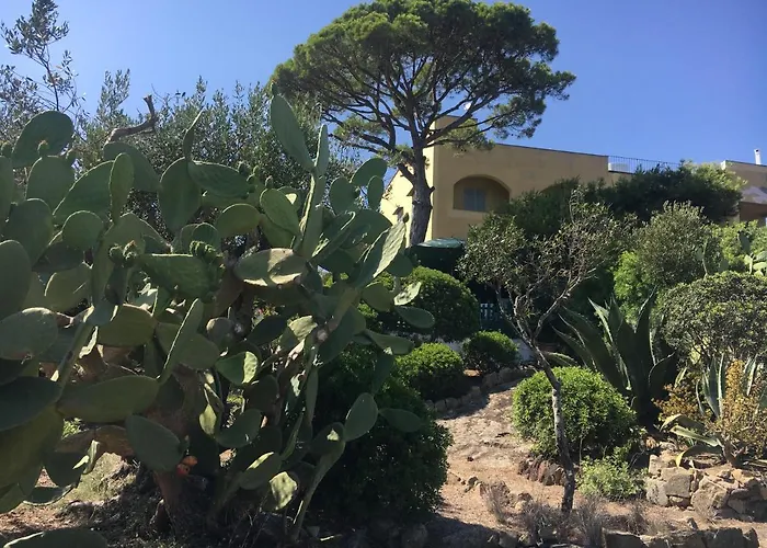 Apart-hotel Mira Capri Procida