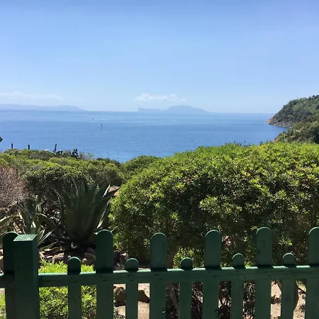 Mira Capri *