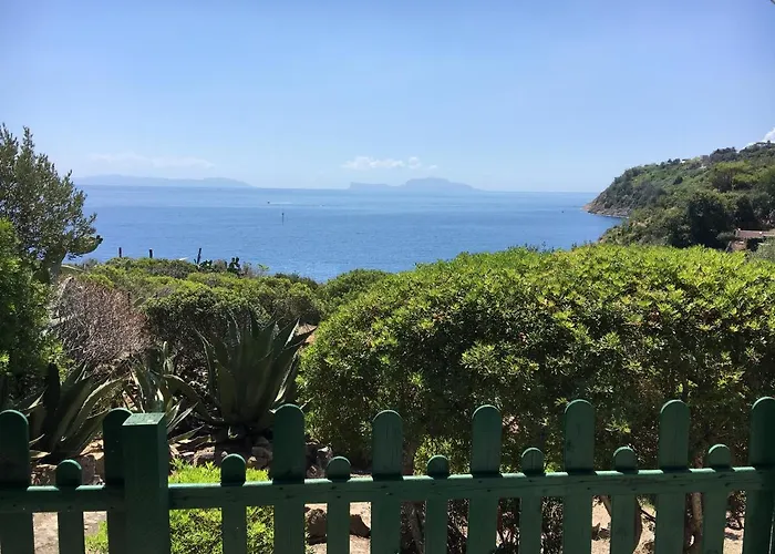 Mira Capri *